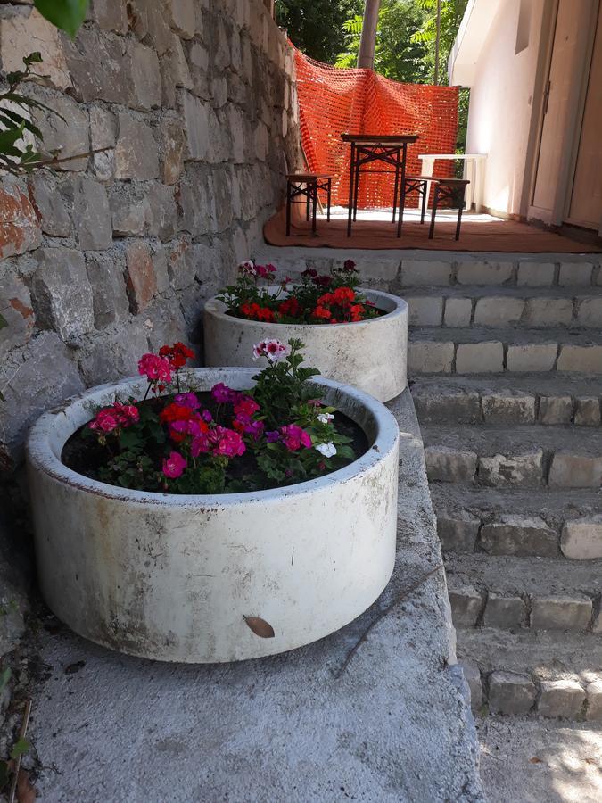Apartmani Viza Risan Dış mekan fotoğraf
